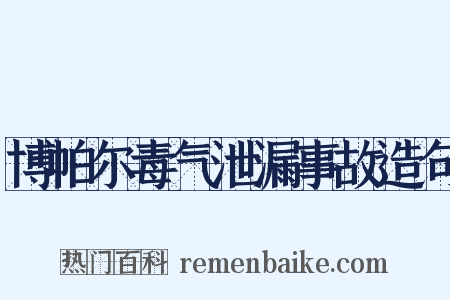 博帕尔毒气泄漏事故造句是什么意思的图片